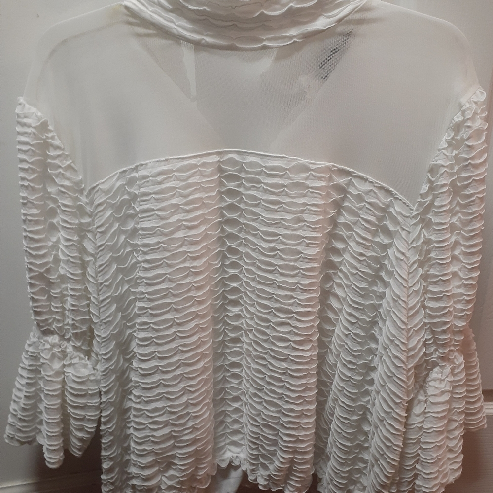 Plus size top - Picture 2 of 2